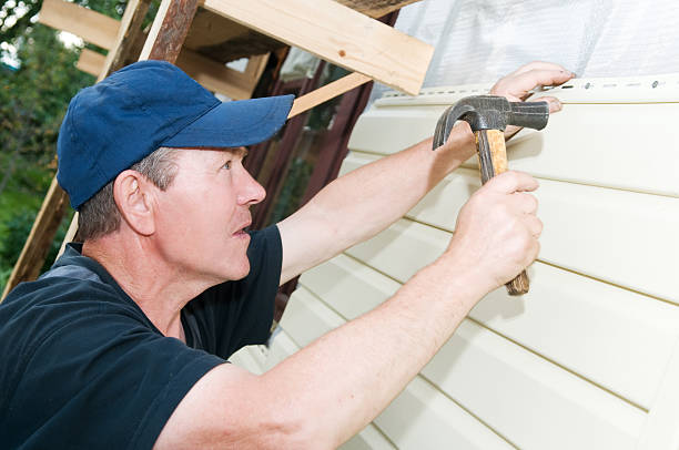 Best Siding Maintenance  in Farragut, TN